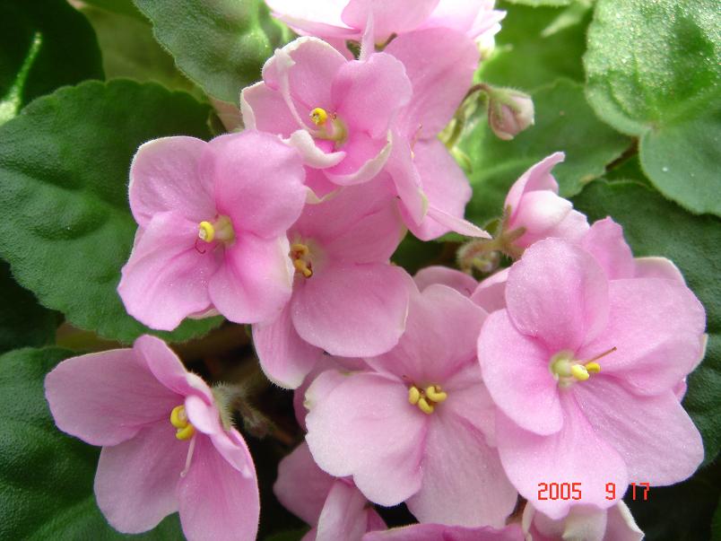 [��ˮ]��������ˮ��