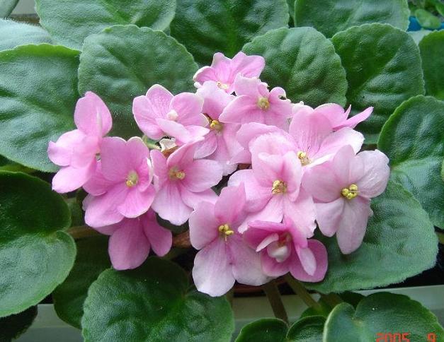 [��ˮ]��������ˮ��