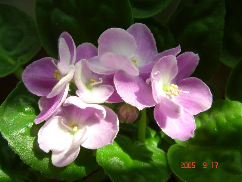 [��ˮ]��������ˮ��