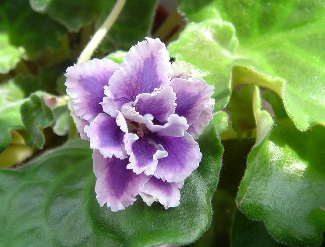 [��ˮ]��������ˮ��