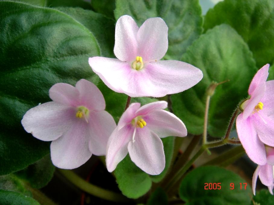 [��ˮ]��������ˮ��