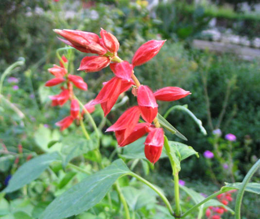 ���Ӳ�԰���ȼ�ţ�Ϳ�ȸ�ݣ�P7��