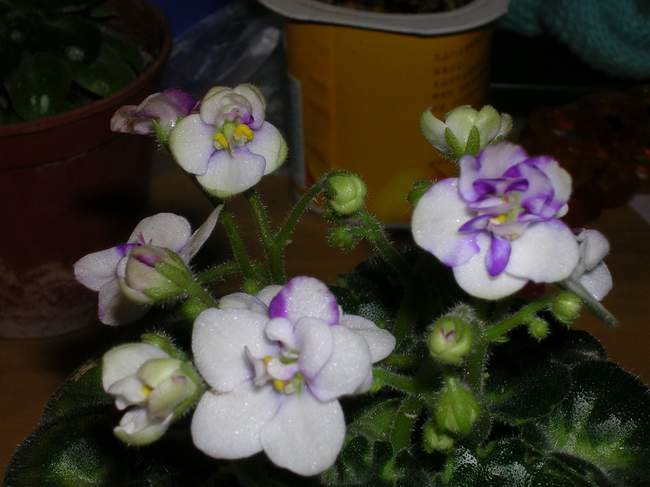 �ҵ�����~