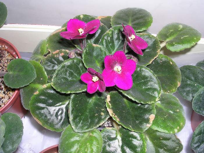 �ҵ�����~