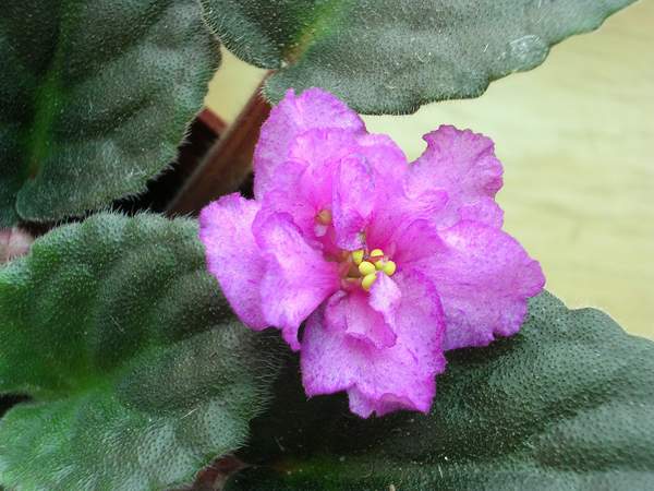 �ҵ�����~