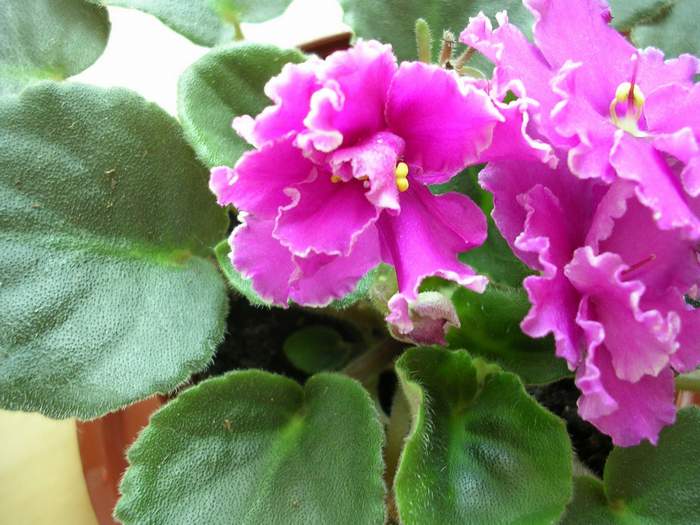 �ҵ�����~