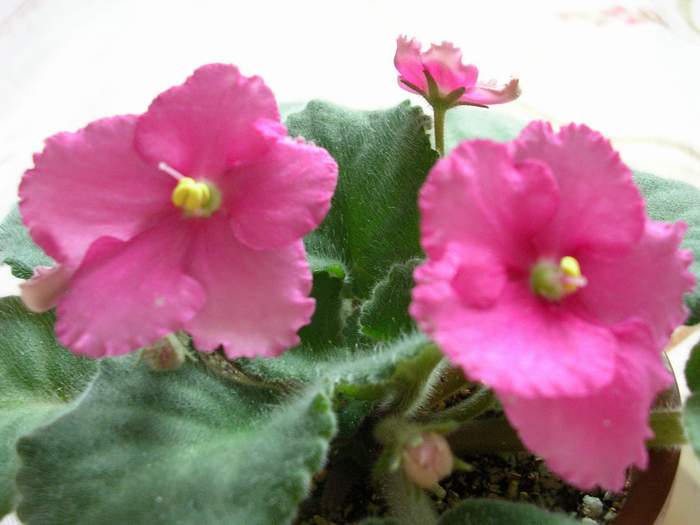 �ҵ�����~