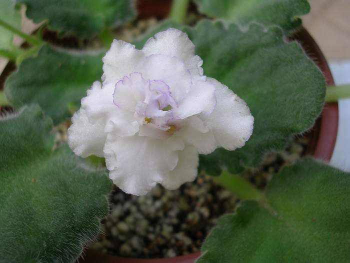 �ҵ�����~