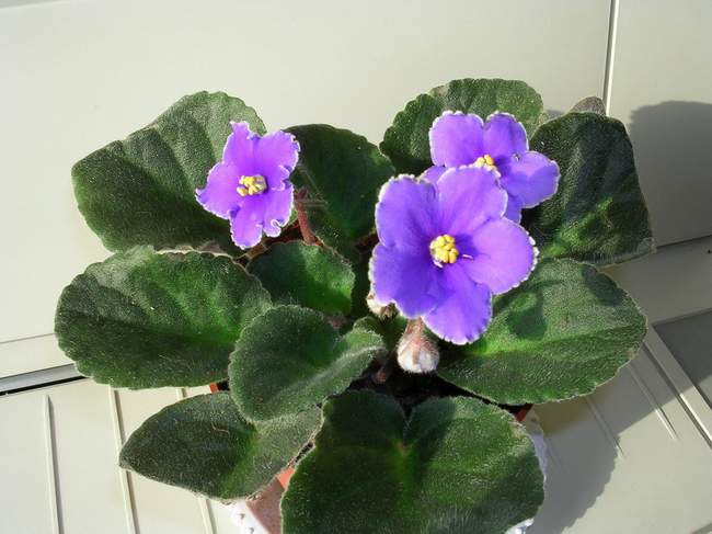 �ҵ�����~