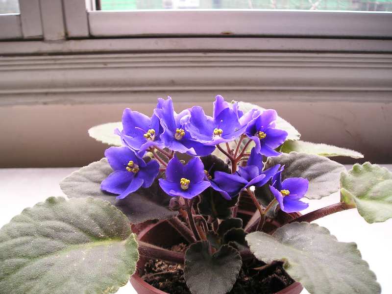 �е����......