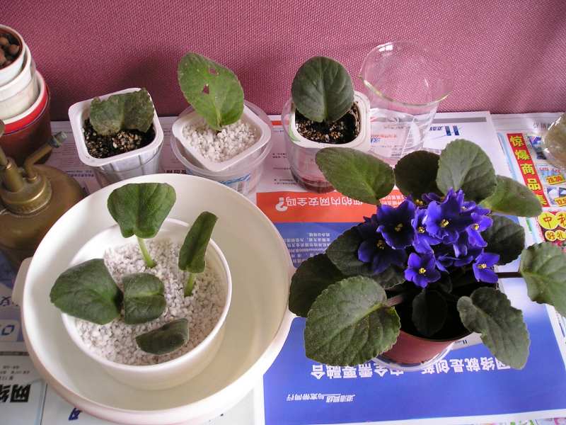 �е����......