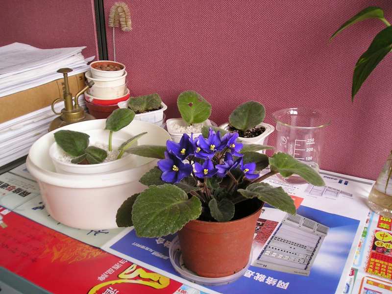 �е����......