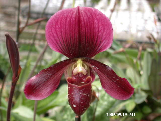 �Ɍ���Ь�m