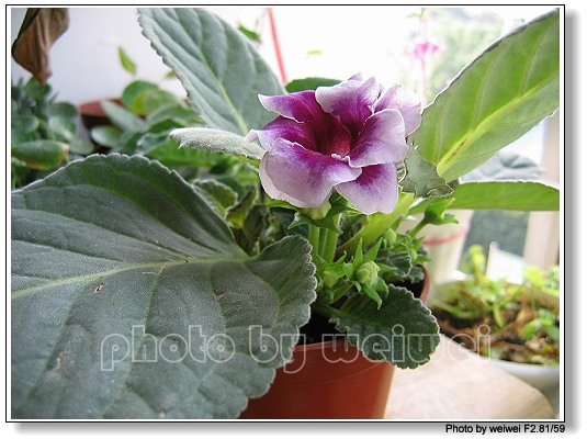 ��ĩ�ؼ�һ��,�����˵�һ��۹�ţ.(2¥ PP����,15¥������PP)