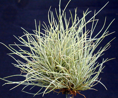 [����]��ؿ����������