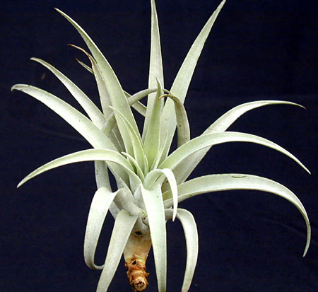 [����]��ؿ����������