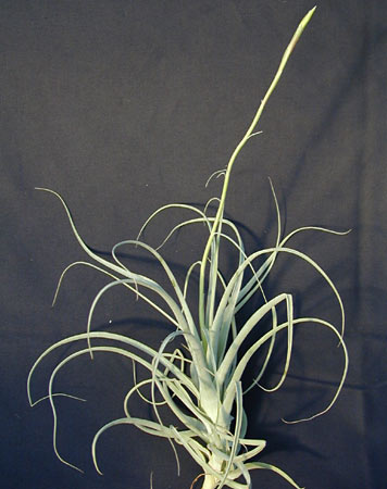 [����]��ؿ����������