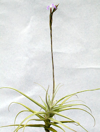 [����]��ؿ����������