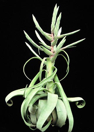 [����]��ؿ����������