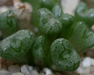 [����]��׶����---55¥��ʼ������ͨ��---