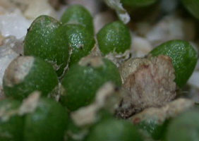 [����]��׶����---55¥��ʼ������ͨ��---