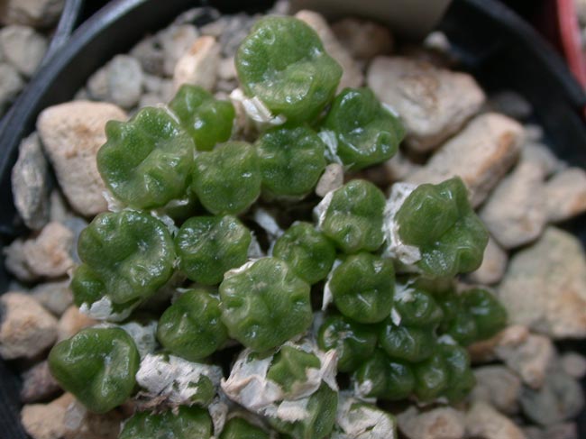 [����]��׶����---55¥��ʼ������ͨ��---