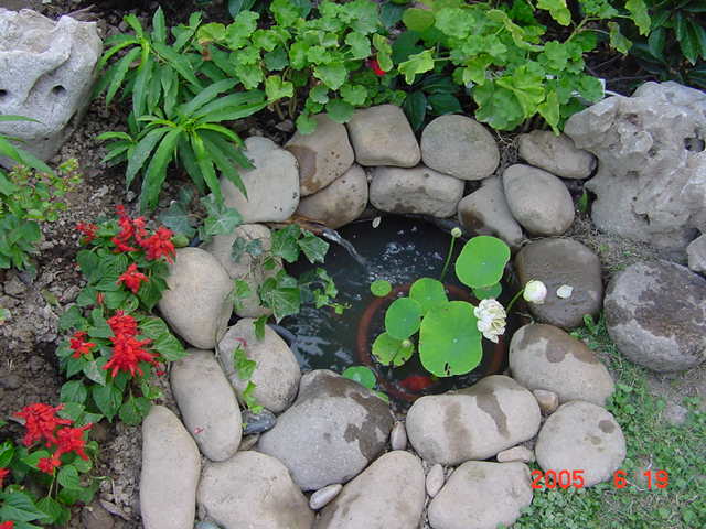 ��̳�����������ר��