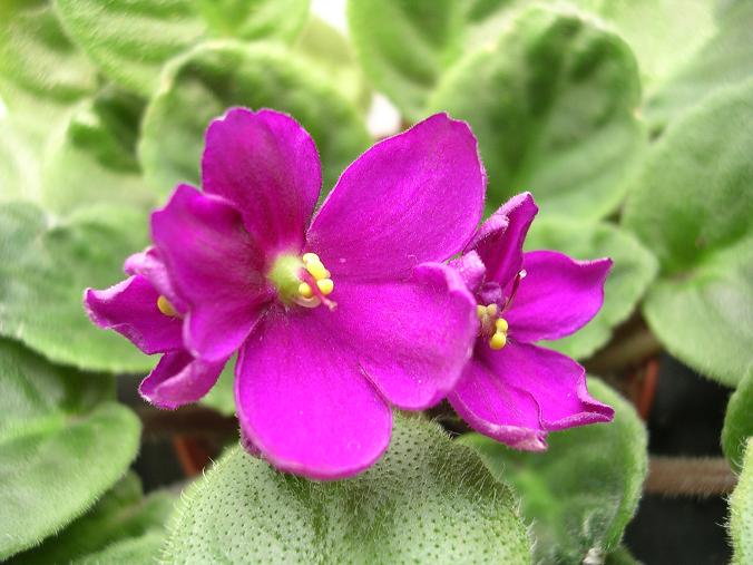 [��ˮ]��������ˮ��