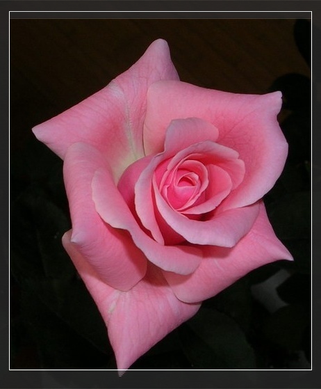 Ҳ���¼�