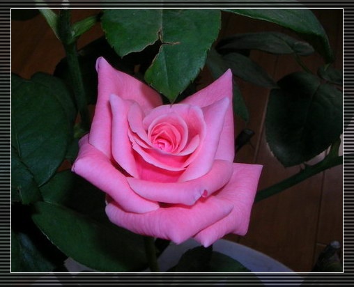 Ҳ���¼�