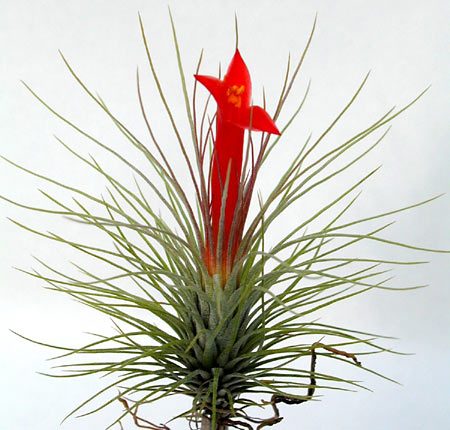 [����]��ؿ����������