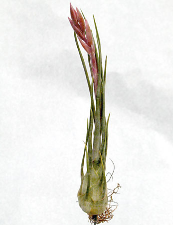 [����]��ؿ����������