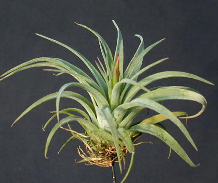 [����]��ؿ����������