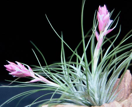 [����]��ؿ����������