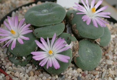 [����]��׶����---55¥��ʼ������ͨ��---