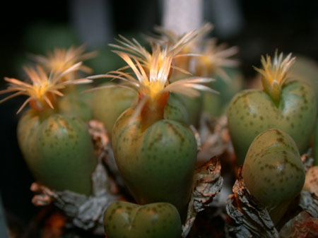 [����]��׶����---55¥��ʼ������ͨ��---