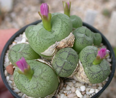 [����]��׶����---55¥��ʼ������ͨ��---