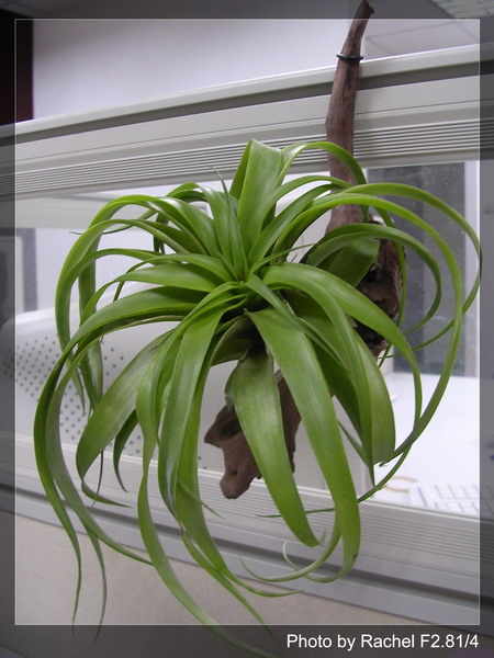 [����]������������������(p3-4�»��ϼ܇ޣ�