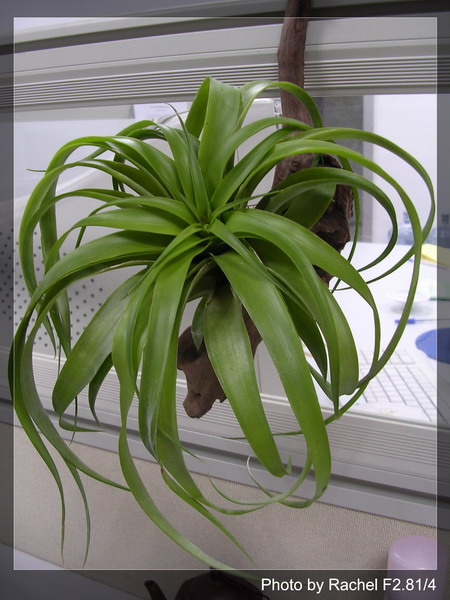 [����]������������������(p3-4�»��ϼ܇ޣ�