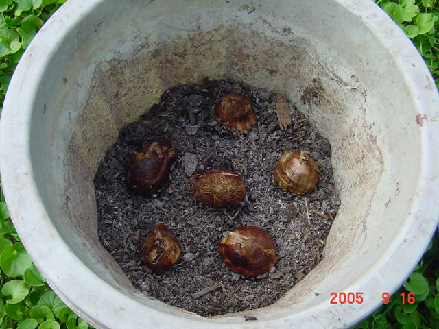 ð������ĸ��£����֡�������