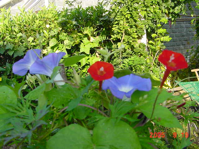 ð������ĸ��£����֡�������