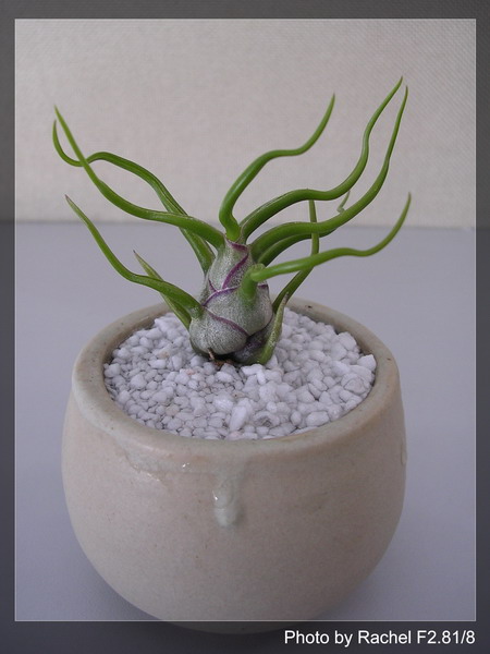 [����]������������������(p3-4�»��ϼ܇ޣ�