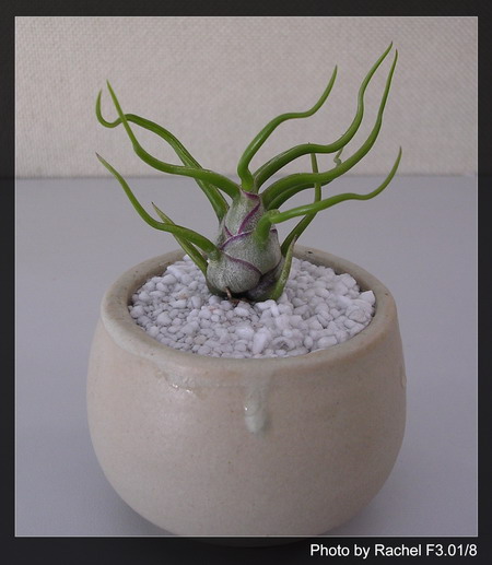 [����]������������������(p3-4�»��ϼ܇ޣ�