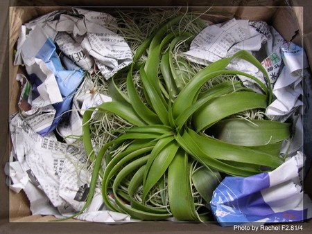 [����]������������������(p3-4�»��ϼ܇ޣ�