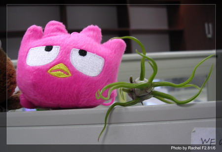 [����]������������������(p3-4�»��ϼ܇ޣ�