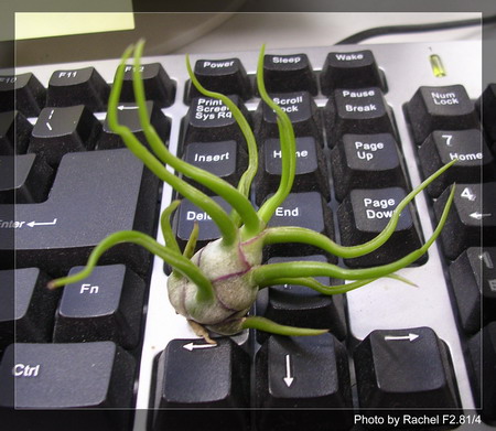 [����]������������������(p3-4�»��ϼ܇ޣ�