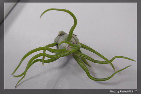 [����]������������������(p3-4�»��ϼ܇ޣ�