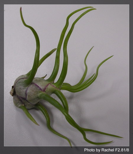 [����]������������������(p3-4�»��ϼ܇ޣ�