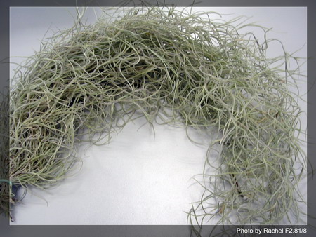 [����]������������������(p3-4�»��ϼ܇ޣ�