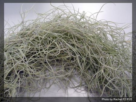 [����]������������������(p3-4�»��ϼ܇ޣ�